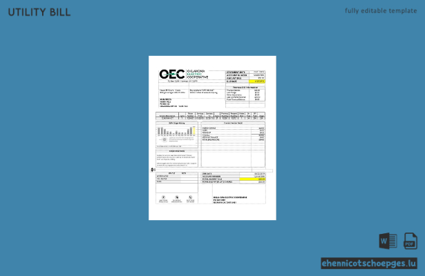 Beispiel einer Stromrechnung der OEC in den USA (Vorschau)